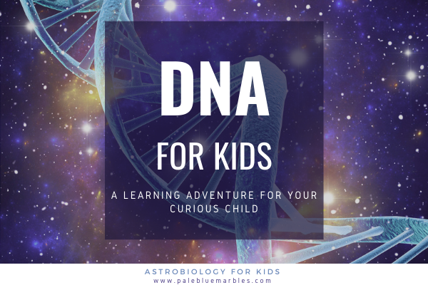 DNA for kids: an adventure into the molecular world of life
