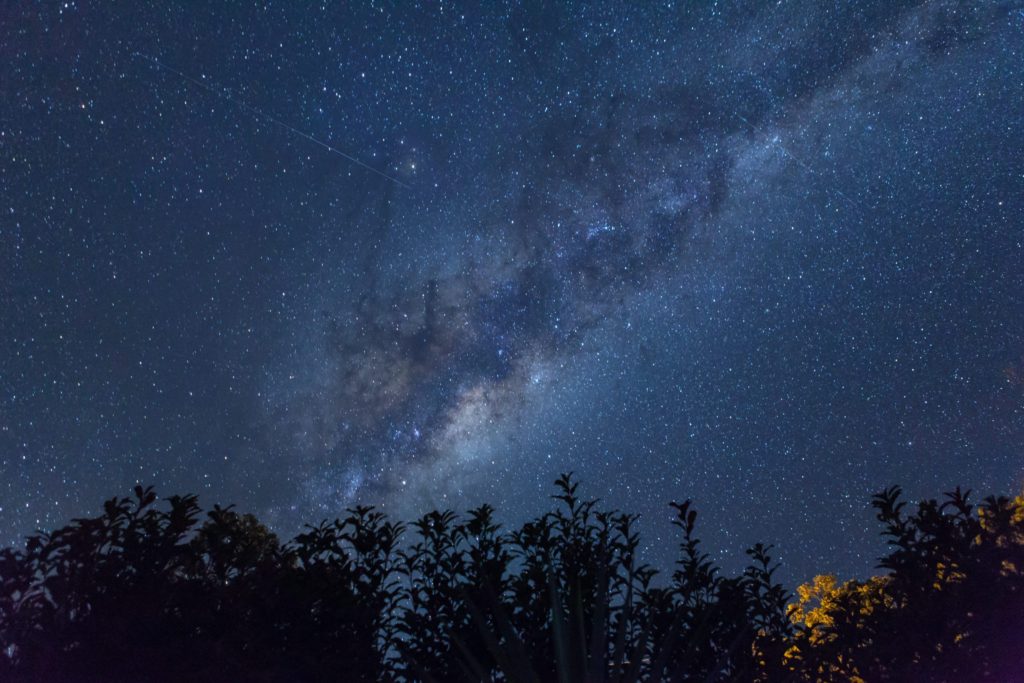 Plane of the Milky Way galaxy across a starry night sky over trees.