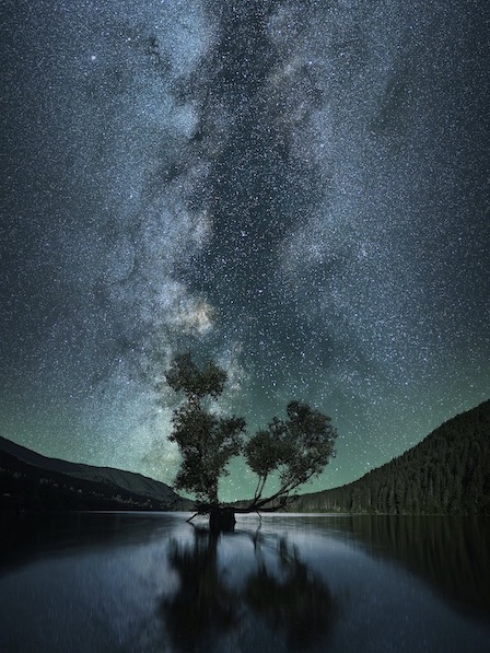 The Milky Way in a green-tinted night sky above a tree in a lake surrounded by forest