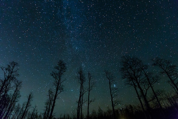 Starry night sky showing a faint band of the Milky Way over silhouettes of trees
