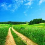 Rural path through fields of grass under a blue sky