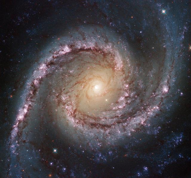 Hubble image of the spiral galaxy NGC 1566, 40 million light-years away in the constellation of Dorado (The Dolphinfish)
