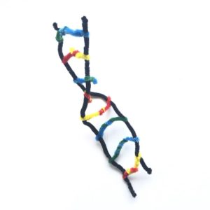 Model of DNA made out of pipe cleaners on white background
