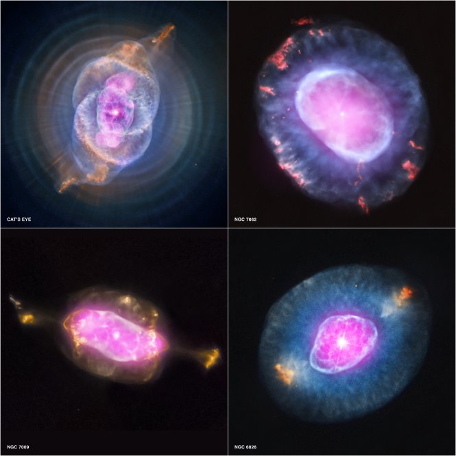 Four different planetary nebulae coloured pink. Planetary nebulae release heavy elements, created during stellar nucleosynthesis, into space.