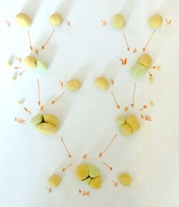 The stellar nucleosynthesis proton-proton chain reaction modelled with playdough