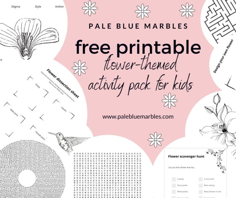Free printable activity pack on flowers