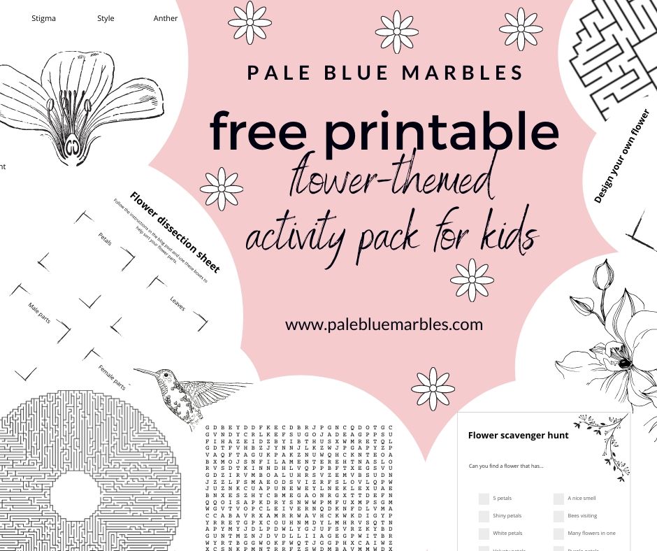 Free printable activity pack on flowers