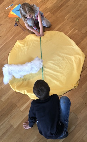 Two children and a cat measuring the Sun