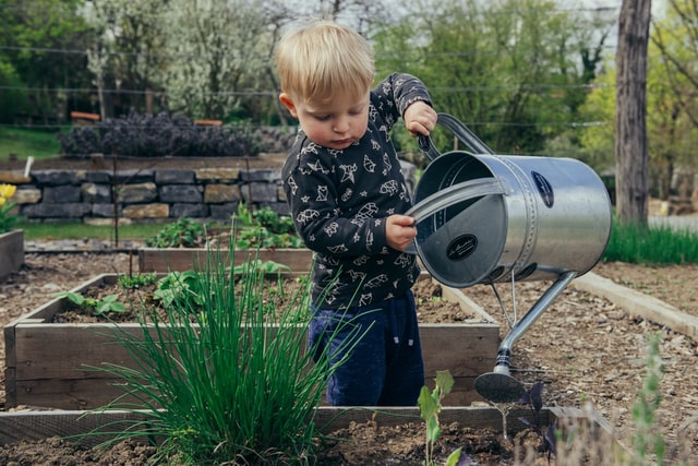 Plant a tree to celebrate Earth Day